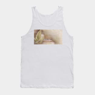 Leaves with drops of dew, textured, pastel tones Tank Top